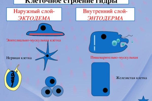 Darknet как войти