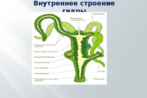 Зеркало на кракен